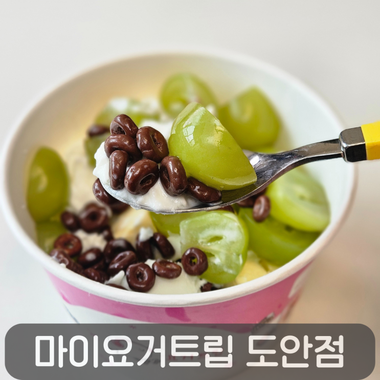  무설탕 저칼로리 아이스크림,마이요거트립 도안점
