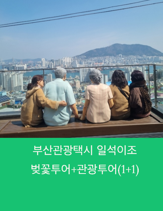  부산관광택시 일석이조 벚꽃투어+관광투어(1+1)선착순입니다