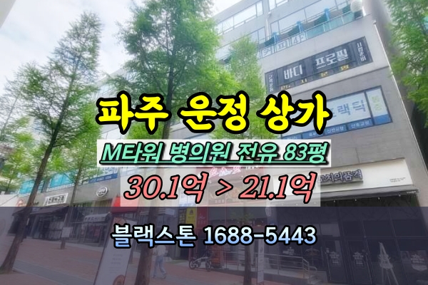  파주시목동동 병원 상가 경매 M타워 150평 [2024타경2841]