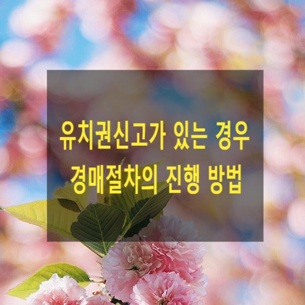  경매진행 중 유치권신고가 있는 경우 경매절차의 진행 방법(유치권부존재확인의 소, 경매절차 추정)