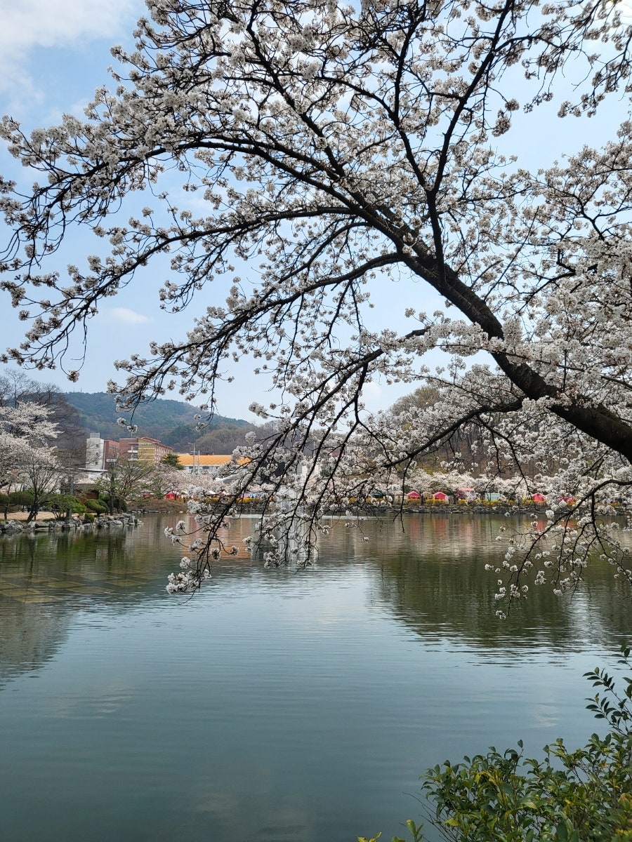 기탄사고력교실 김천부곡화성점 사진 3
