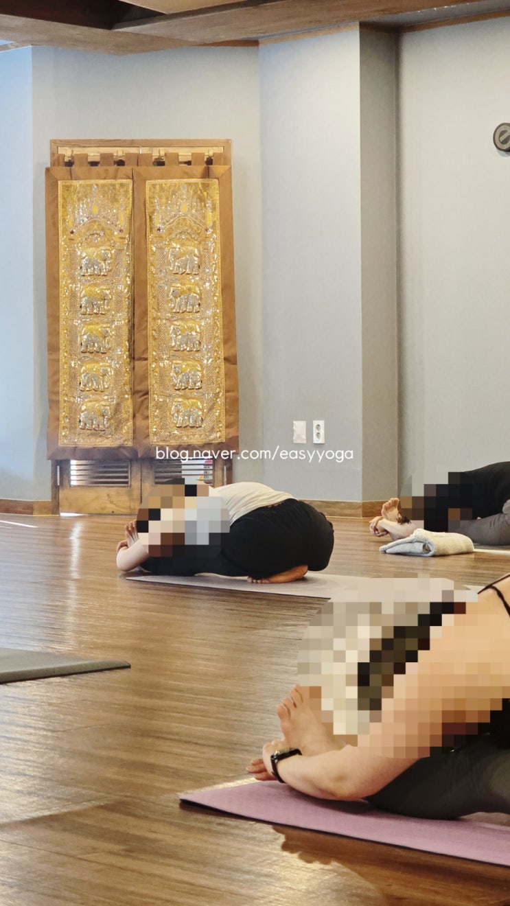  [용인 동백 요가 추천] 아쉬탕가 수련- 뒤꿈치에 앉으라구욧? ㅋㅋ 동백이지요가, 용인요가