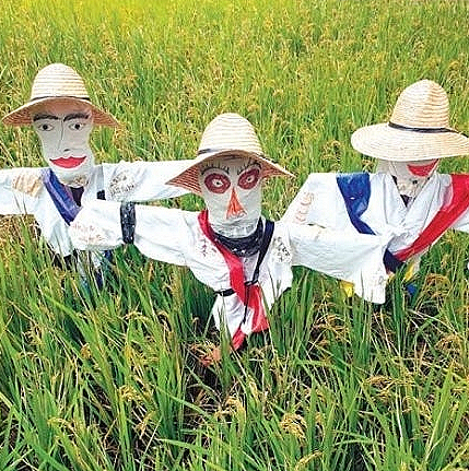 필승전략은 <b>무소속 출마</b>로 승부수를 띄워야 / 국민의힘은... 