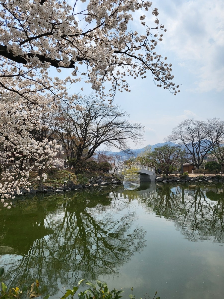 기탄사고력교실 김천부곡화성점 사진 1