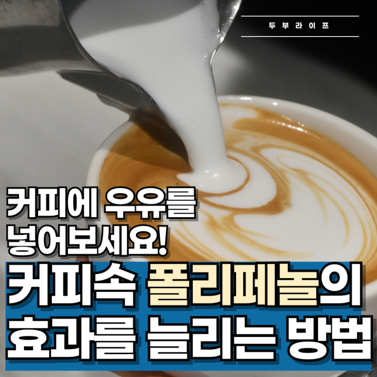  커피에 우유를 넣어보세요!  커피속 폴리페놀의 효과를 늘리는 방법