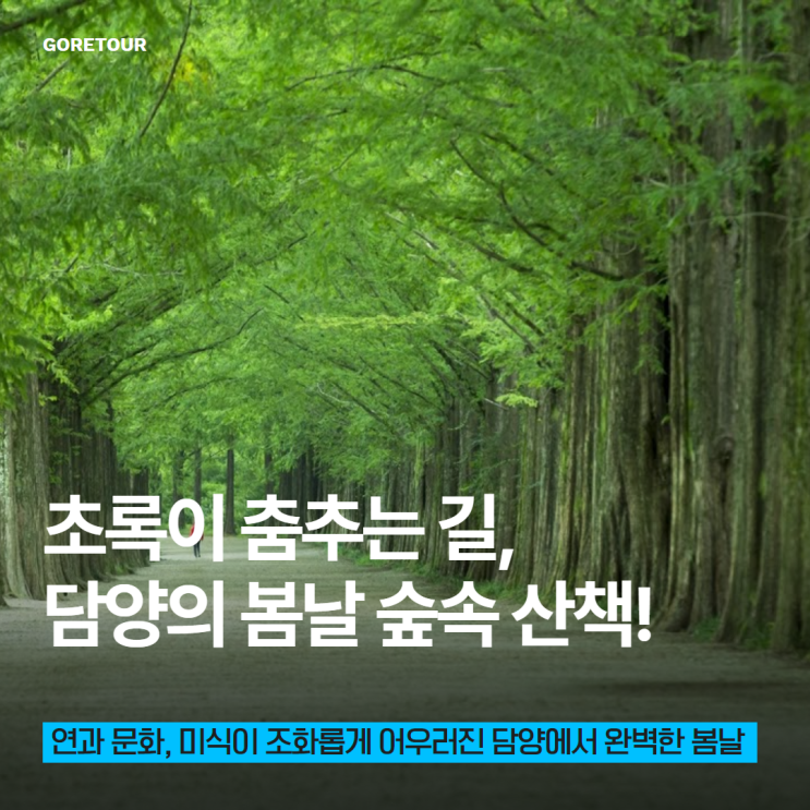  초록이 춤추는 길, 담양의 봄날 숲속 산책!
