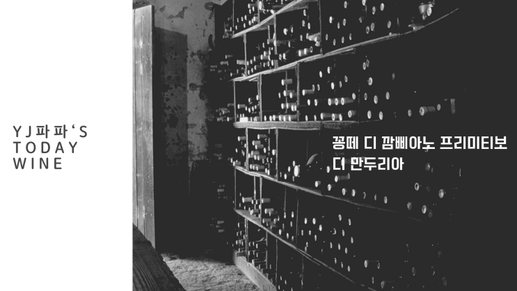  <코스트코와인>입문용으로 즐기기 좋은 레드와인 '꽁떼 디 깜삐아노 프리미티보 디 만두리아' 후기