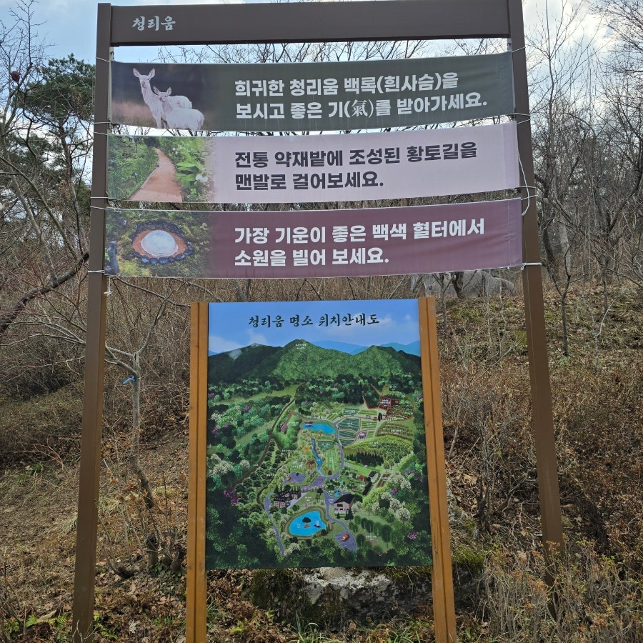 숲속빨간벽돌집 사진 2