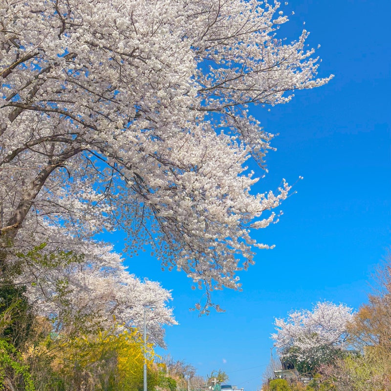 사진 5