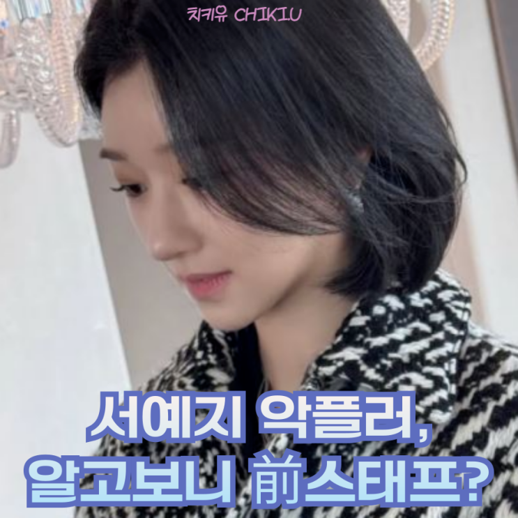  서예지 악플러 알고 보니 前 스태프? 강경 대응 선처 없다