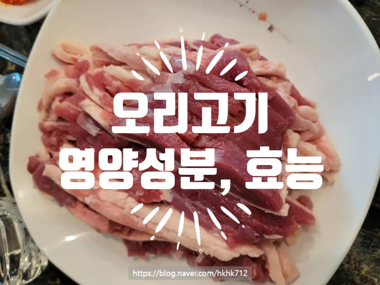오리고기 영양성분과 효능