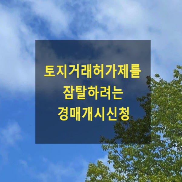  토지거래허가제를 잠탈하려는 경매개시신청(허위의 저당권, 허위내용의 공정증서)