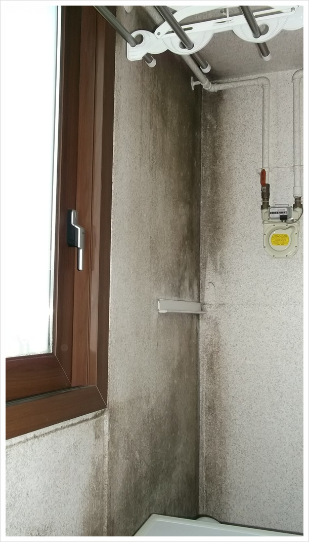  아파트 주방 세탁실 베란다 곰팡이제거 성공!!!