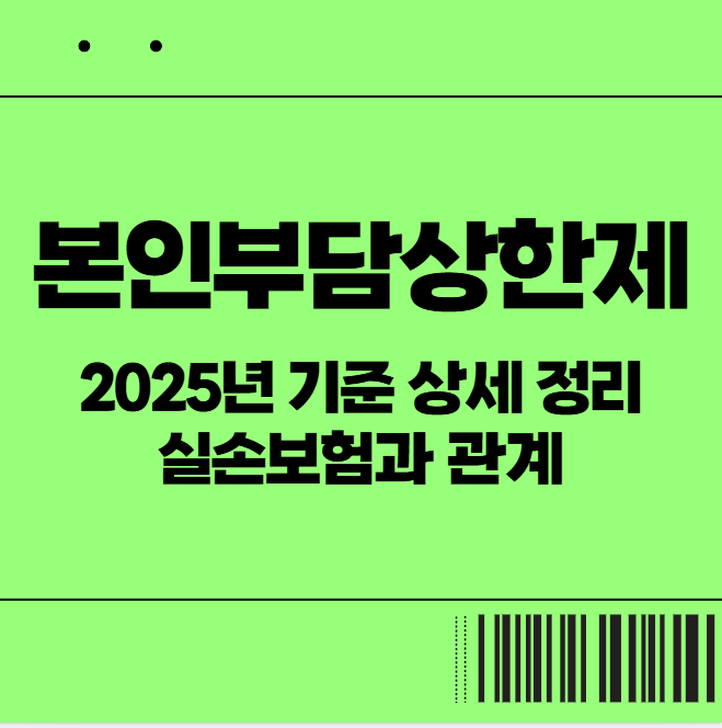  본인부담상한제란? 2025년 기준 상세 정리 & 실손보험과의 관계