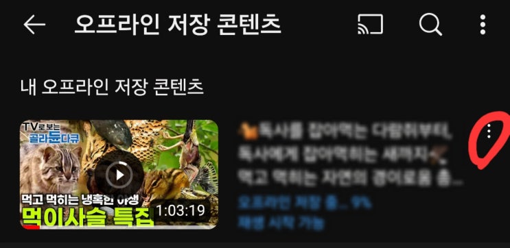  유튜브 오프라인 저장으로 데이터, 와이파이 없이 유튜브 영상을 시청해 보자!