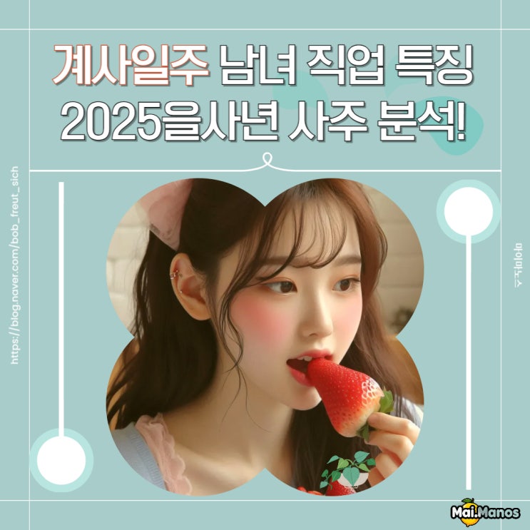  계사일주 남자 여자 특징 직업 2025을사년 사주 분석!