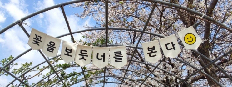  순천 시민이 추천하는 벚꽃 명소, 동천 따라 걷는 봄날