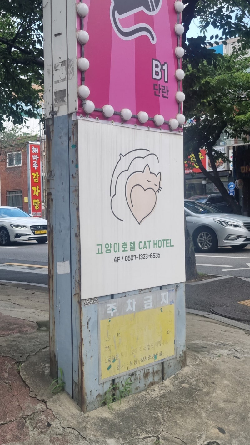 사진 4