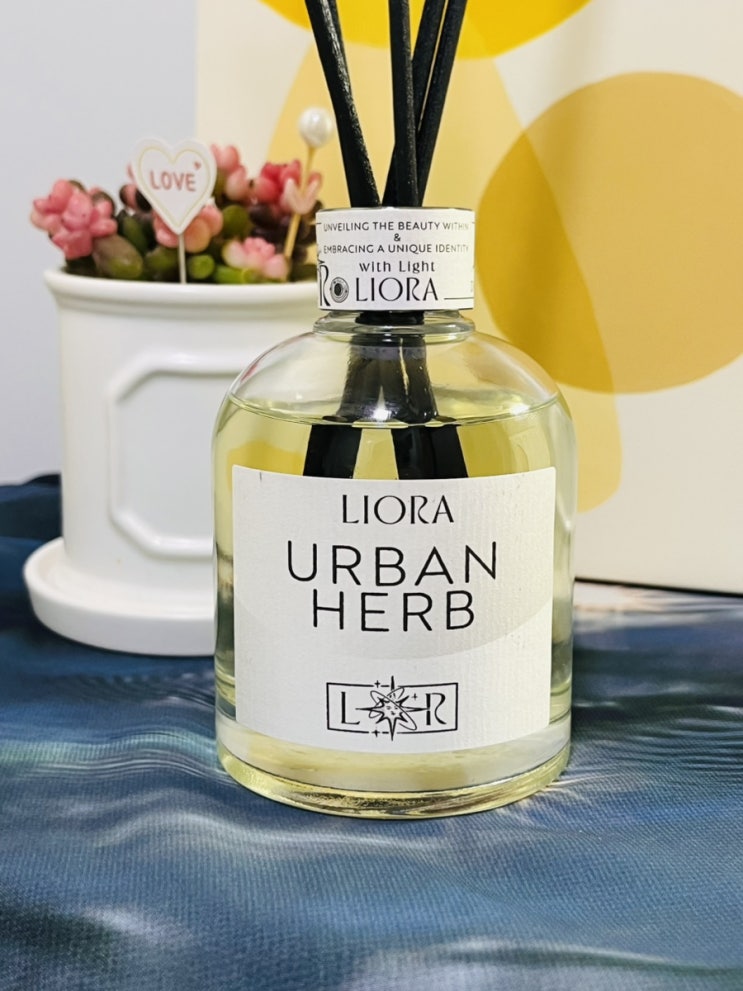  인테리어 디퓨저 추천/ 리오라 디퓨저 어반허브 사용 후기(LIORA 천연원료 디퓨저)