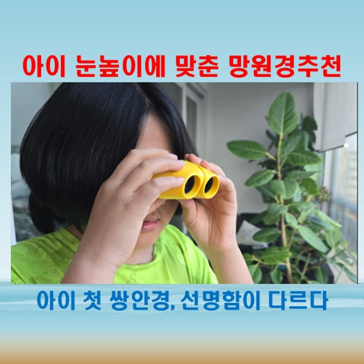  아이 선물로 딱! 휴대성 좋은 8배율 쌍안경 추천