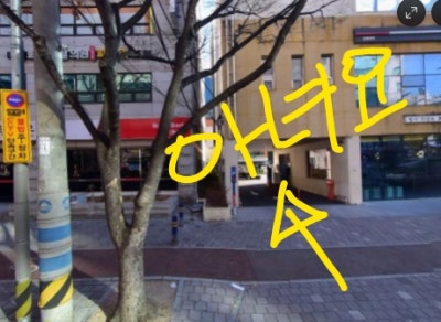 사진 10