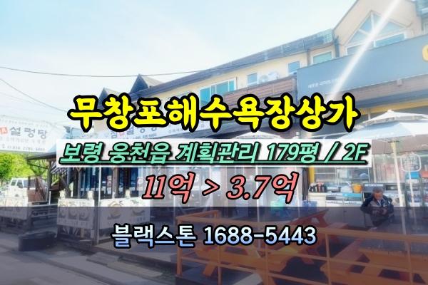  무창포해수욕장 상가 경매 점포 5억이하 [2023타경17294]