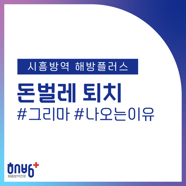  돈벌레 퇴치 나오는이유는? 시흥방역 해방플러스