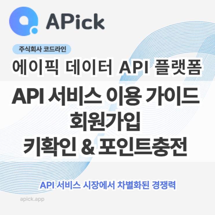  API 서비스 이용 가이드 회원가입 에이픽키확인 포인트충전
