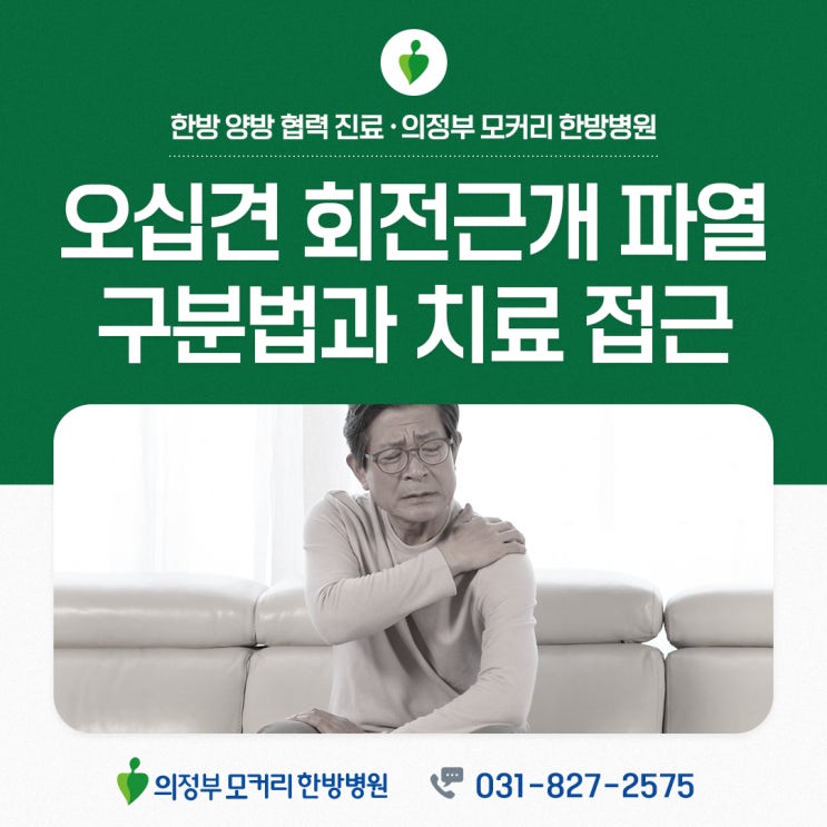  의정부한방병원 오십견과 회전근개 파열, 구분법과 치료 접근