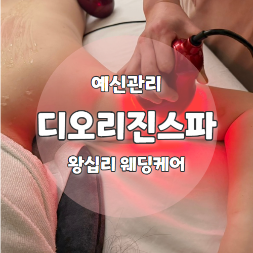  디오리진스파 : 웨딩케어를 위한 왕십리 피부관리 슬리밍 추천 후기