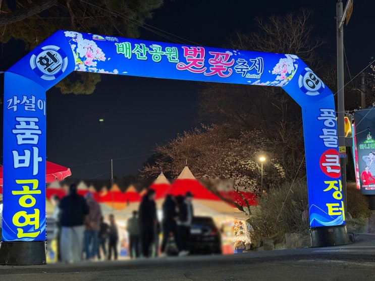  2025년 익산 배산공원 벚꽃축제(+4/11 벛꽃 개화현황, 주차정보)
