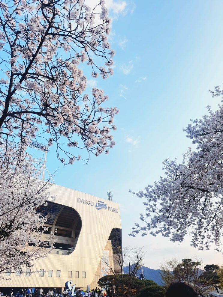 라이온즈파크 <b>삼성</b>라이온즈 vs한화이글스 직관후기(<b>선수단</b>... 