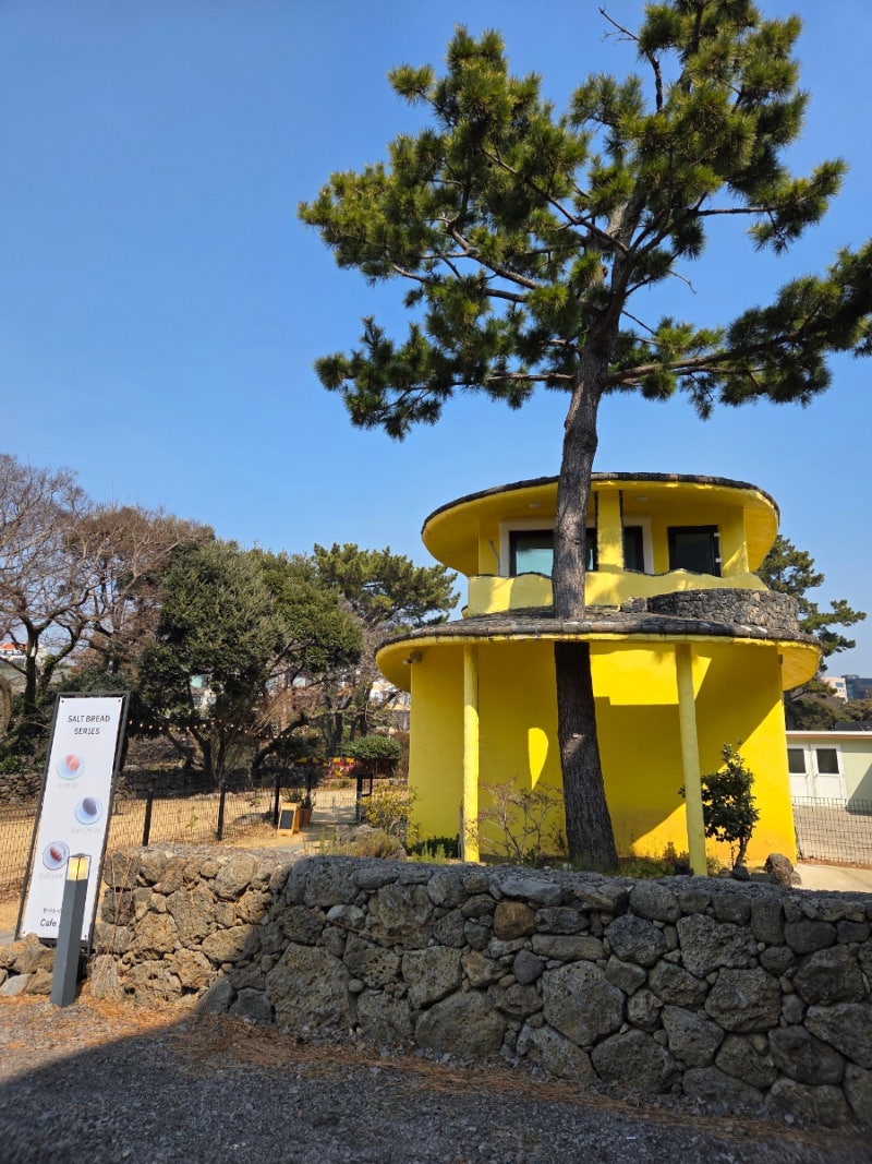 사진 4