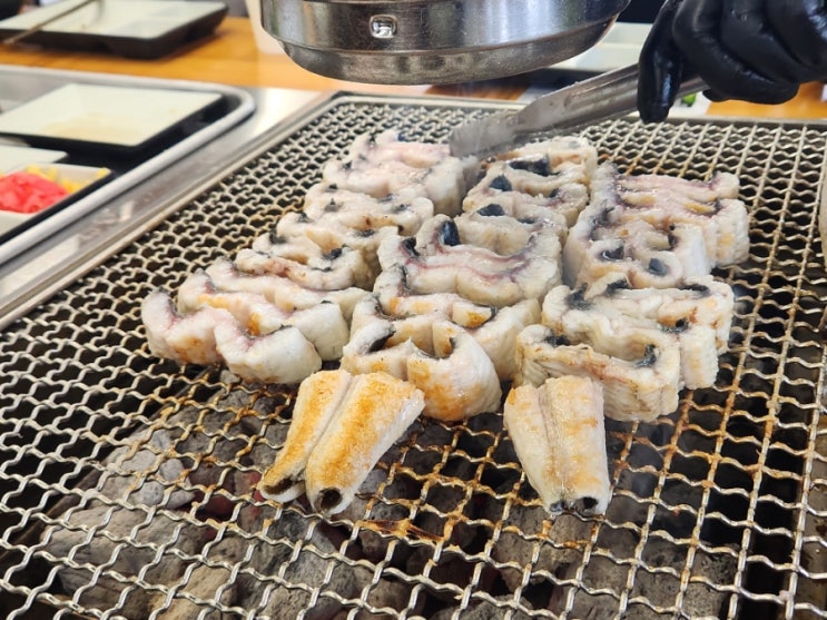 대구 화원 대곡역 자포니카 풍천민물장어 맛집 장어의꿈 대구 대구 화원 대곡역 자포니카 풍천민물장어 맛집 장어의꿈 대구