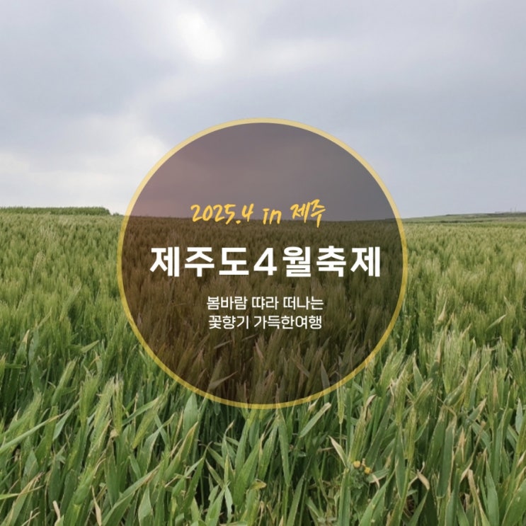  제주도 4월 축제 총정리 : 봄바람 따라 떠나는 꽃향기 가득한 여행