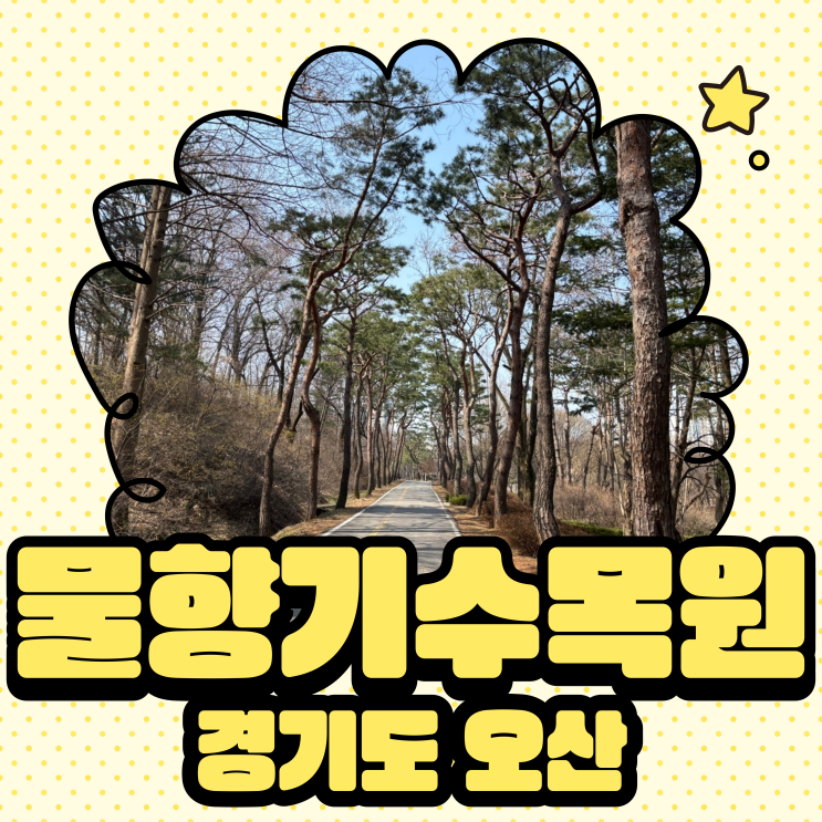  [오산/금암] 물향기수목원 리뷰 ㅣ 오산 가족 나들이로 딱 좋은 힐링 명소