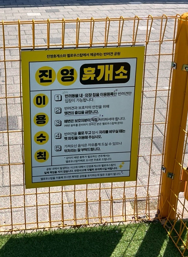 사진 3