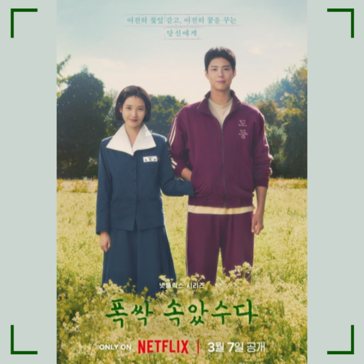   박보검과 아이유 주연 넷플릭스 드라마 '폭싹 속았수다' 리뷰: 세대를 아우르는 사랑과 가족 이야기