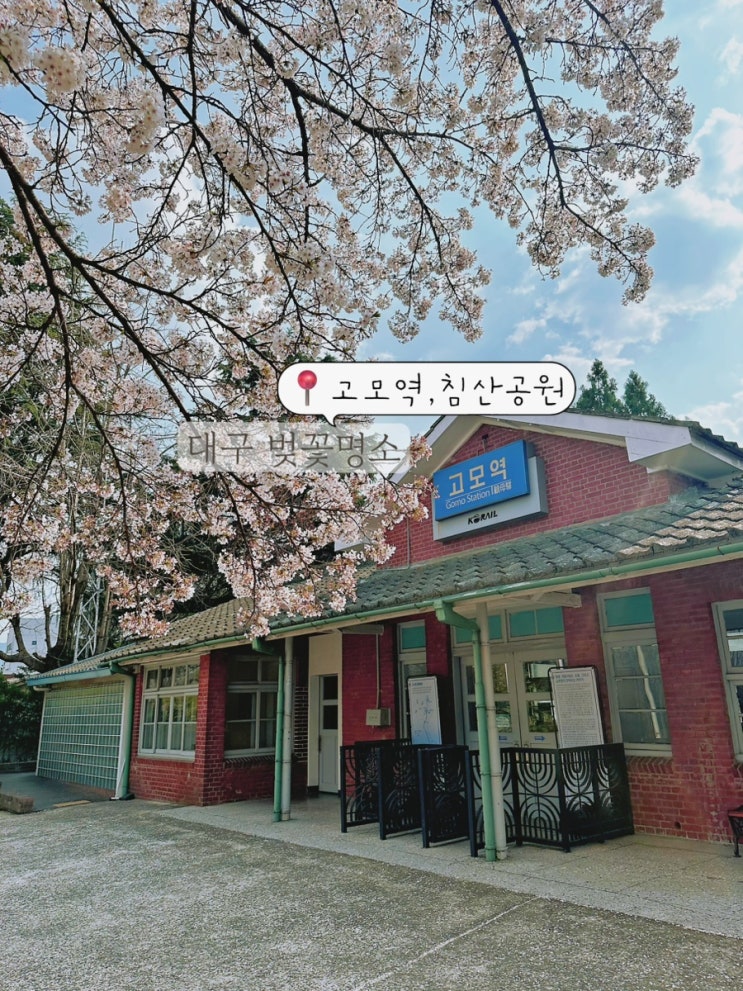  대구 여행 벚꽃명소 고모역 복합문화공간 침산벚꽃계단 야경
