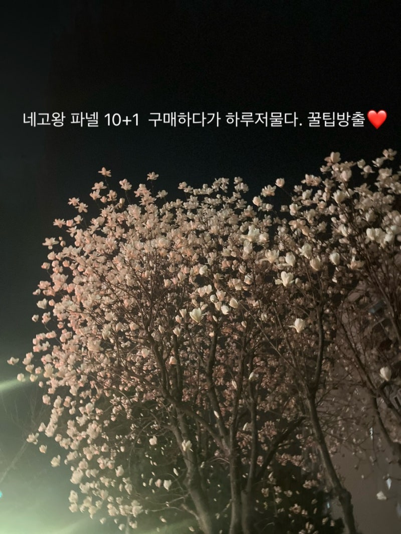 네고왕 파넬 10+1 찐 후기와 꿀팁 - 대표님도 저도 탈탈 털렸습니다
