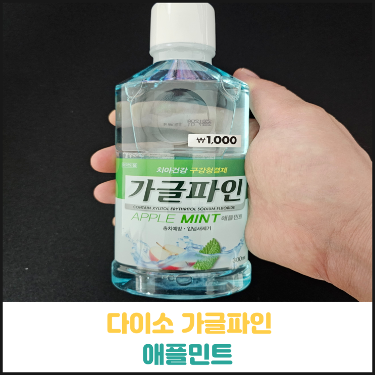 다이소 가글파인 애플민트 후기 다이소 가글파인 애플민트 후기