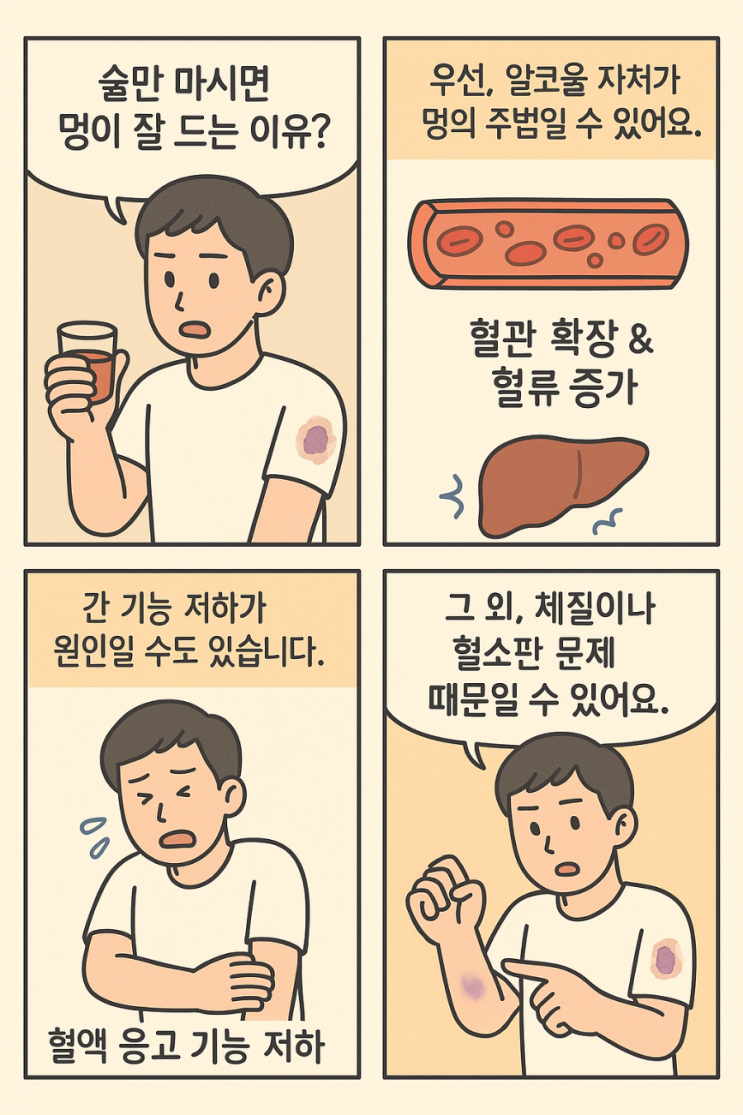 술만 마시면 내가 멍이 잘 드는 이유?! 술만 마시면 내가 멍이 잘 드는 이유?!