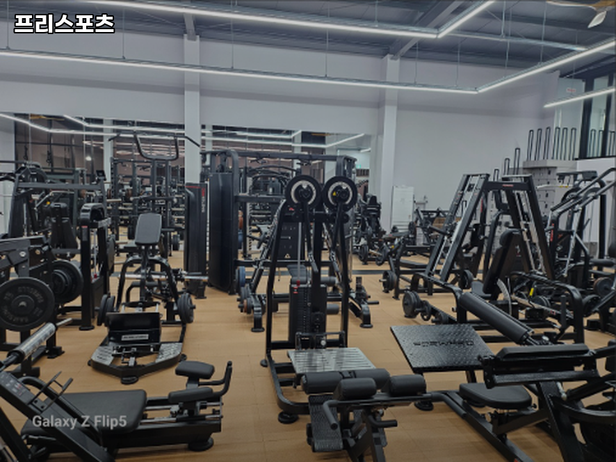 프리스포츠 사진 1