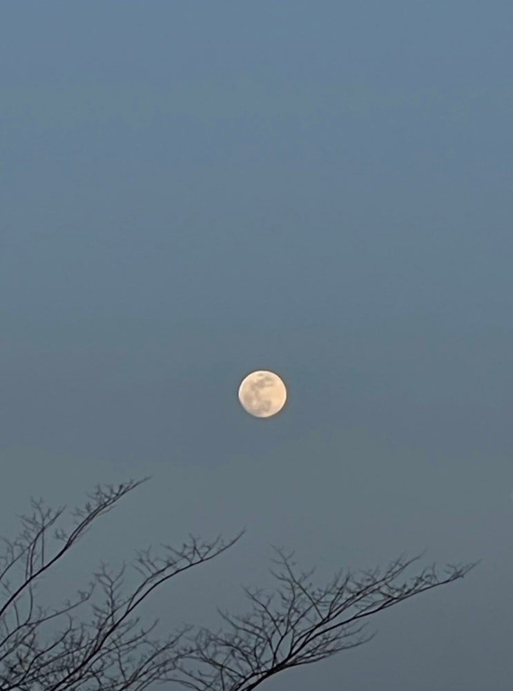 이게 뭐냐면(9)