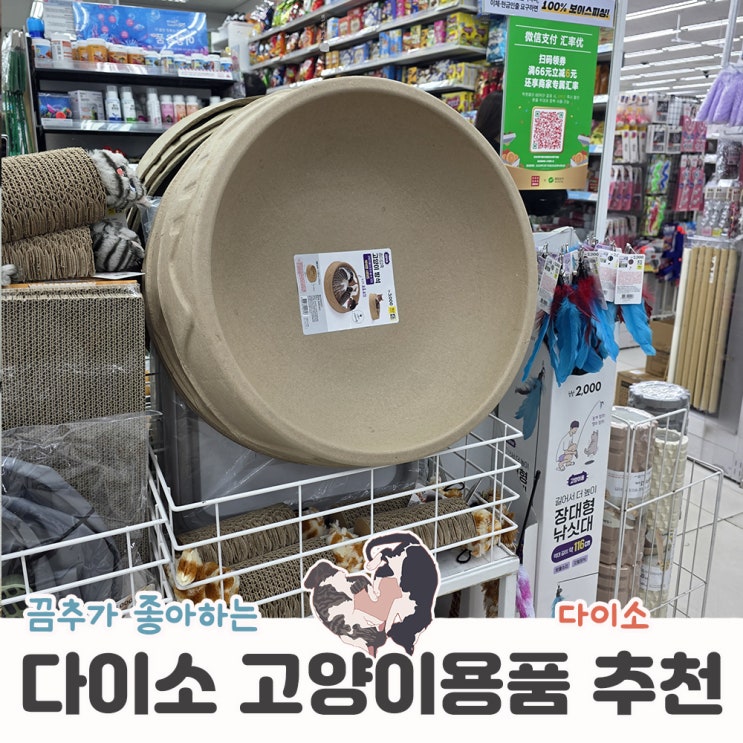  다이소 고양이용품 신상 추천템 구경하기