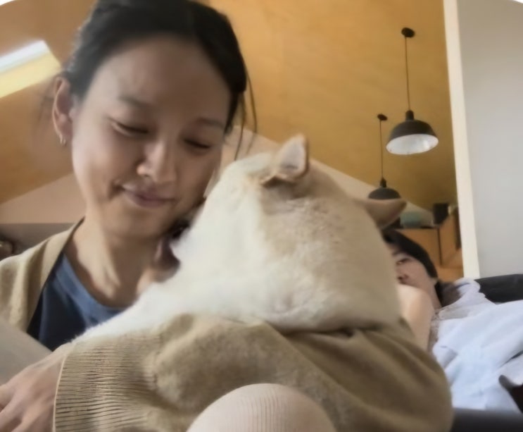 <b>이효리</b> <b>이상순</b> 결혼 12년 차... 사회적 책임 연예인 선행 <b>기부</b>