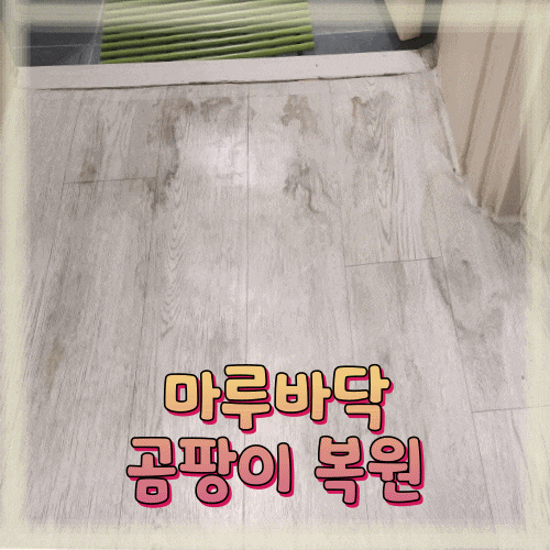  마루바닥곰팡이 얼룩복원