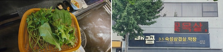  방촌역 맛집, 배꼽숙성삼겹살과막창에서 가족과 특별한 점심