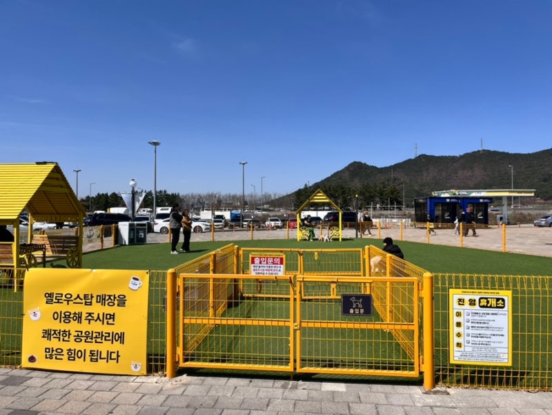 사진 2