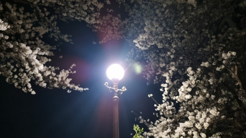 사진 4